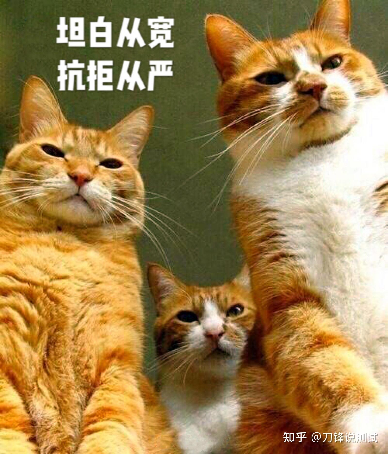乱码怎么写_jmeter乱码_jmeter安装教程