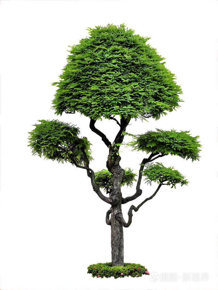 白色背景大图_白色背景图纯白色_白色背景纯图素材