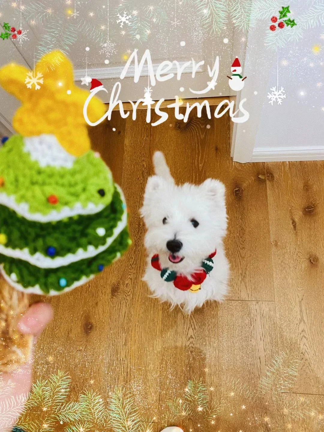 生肖是按照阴历还是阳历算的_生肖是按阳历还是农历_2023是什么生肖