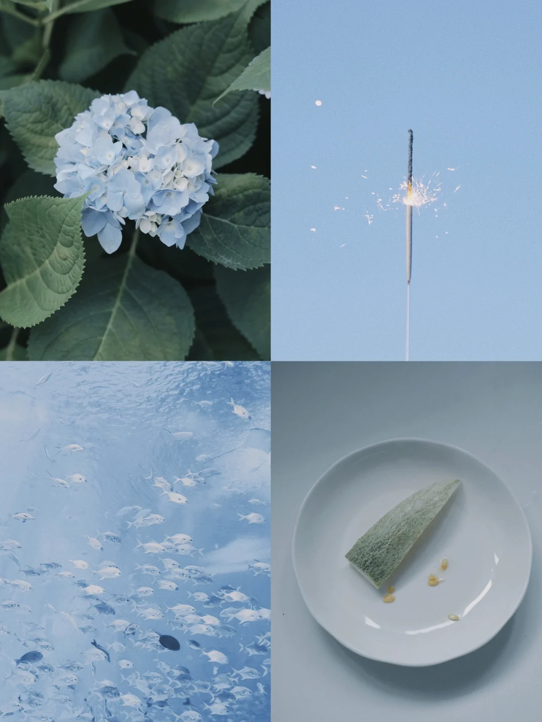 浅葱_蓝羽浅葱人设_浅葱喵