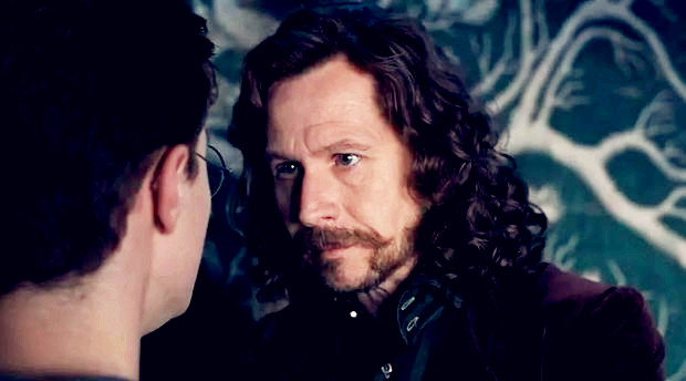 小天狼星布莱克_天狼星布莱克死了_小天狼星布莱克之死