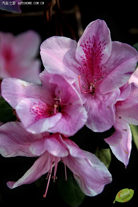 日历月是什么意思_3月日历_日历月份图片