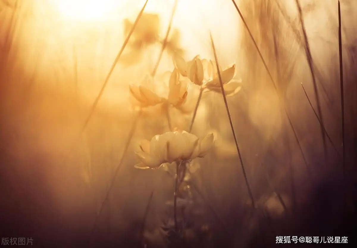 手机壁纸小游戏_壁纸手机游戏_GPS游戏手机壁纸