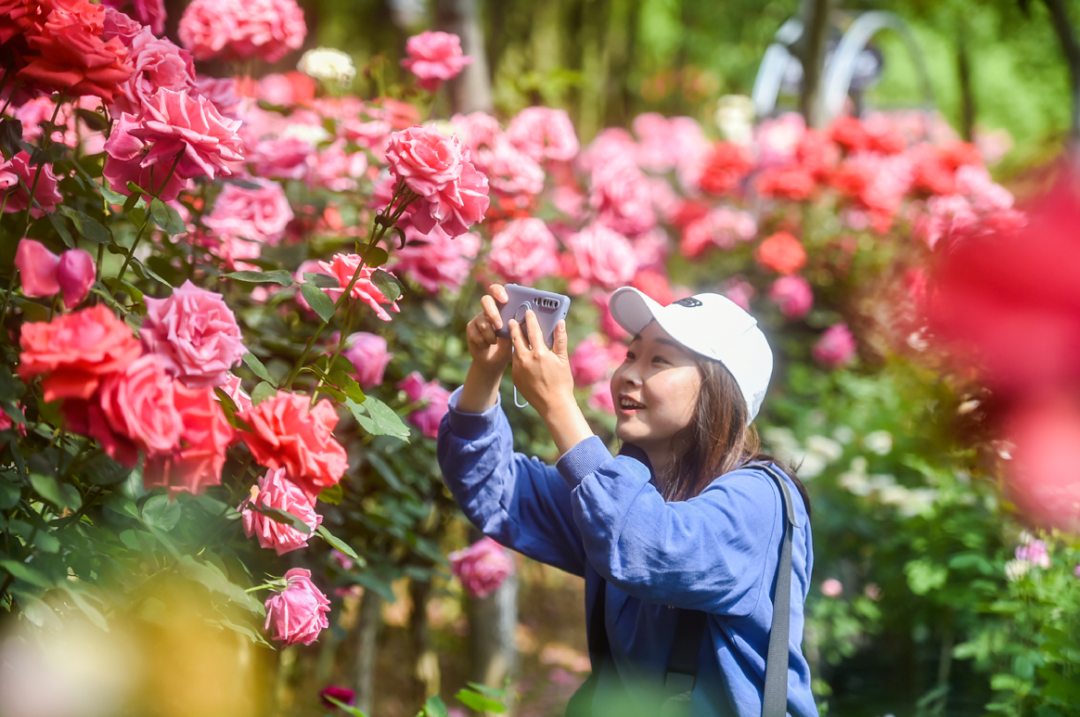 玩手机游戏用英语怎么说_玩手机游戏的危害_R18游戏手机怎么玩