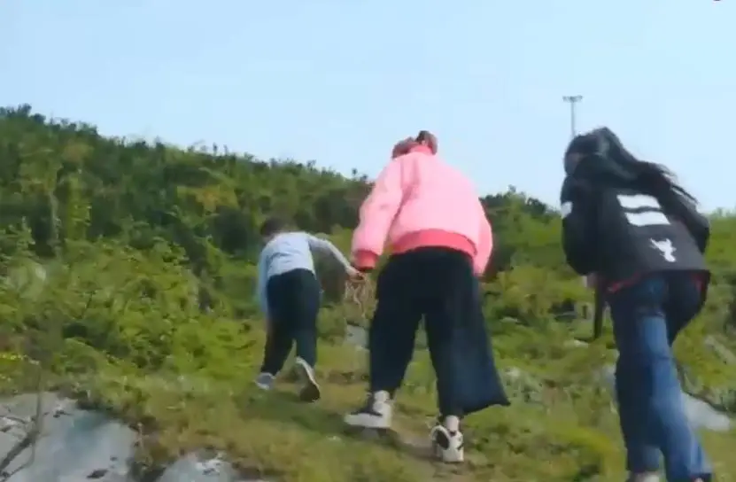 郑九妹_郑九妹_郑九妹