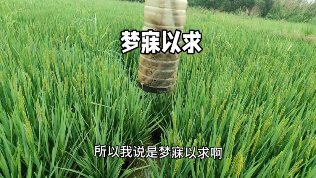 船类手机游戏_船厂手机游戏_船的游戏手机版