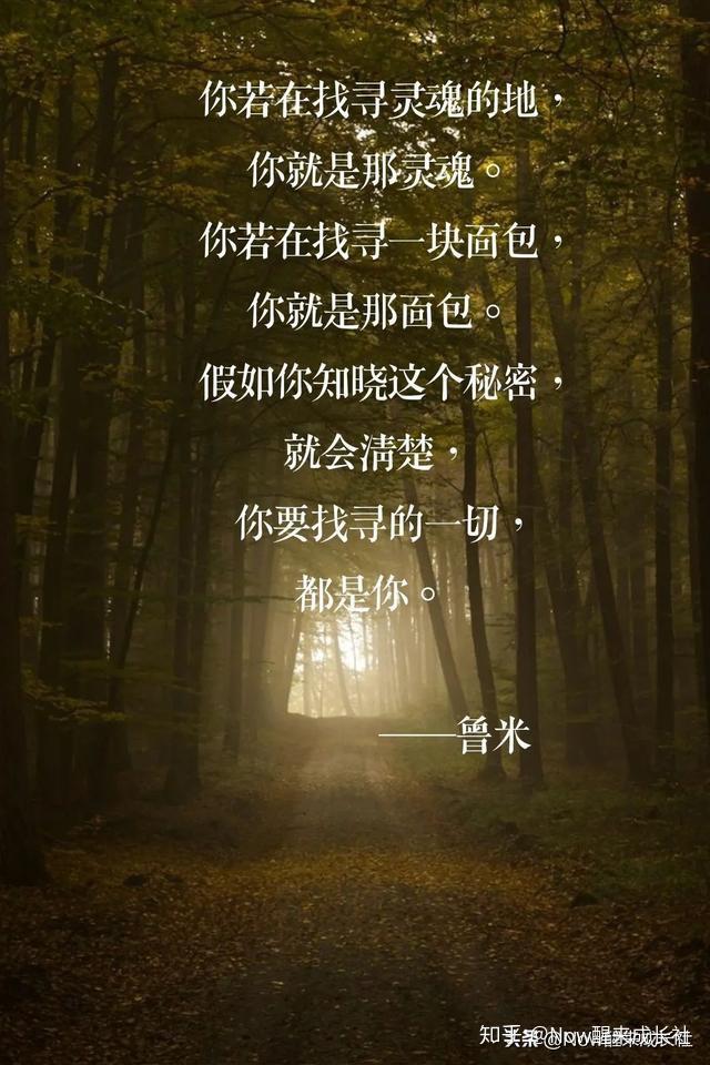 理央_内田理央_央理论