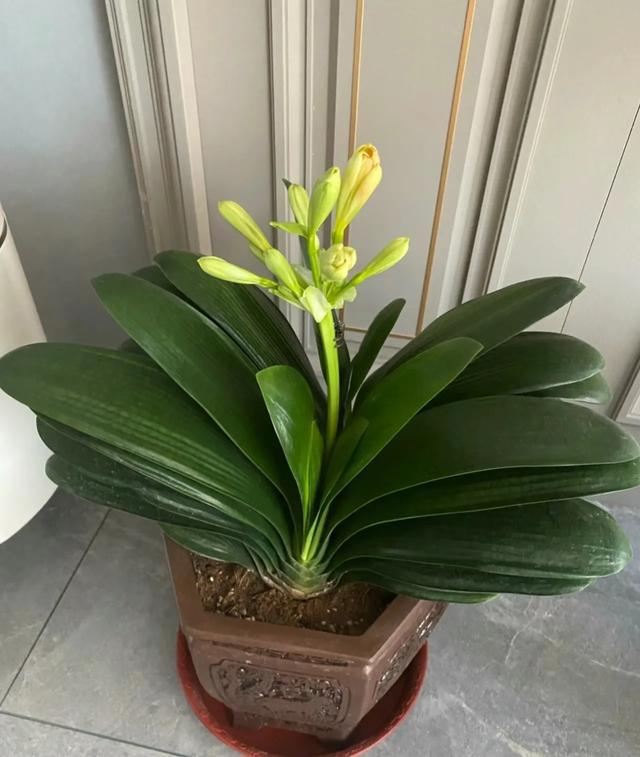 什么是养号_养意思是什么_养号是什么意思?