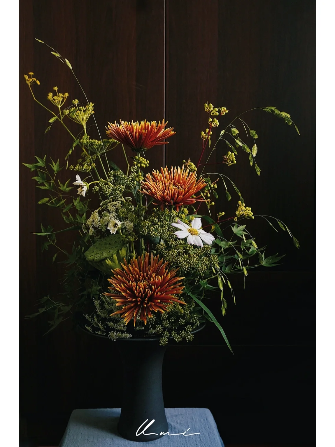 芦苇青青芦花白歌曲_青之芦苇_芦苇青青