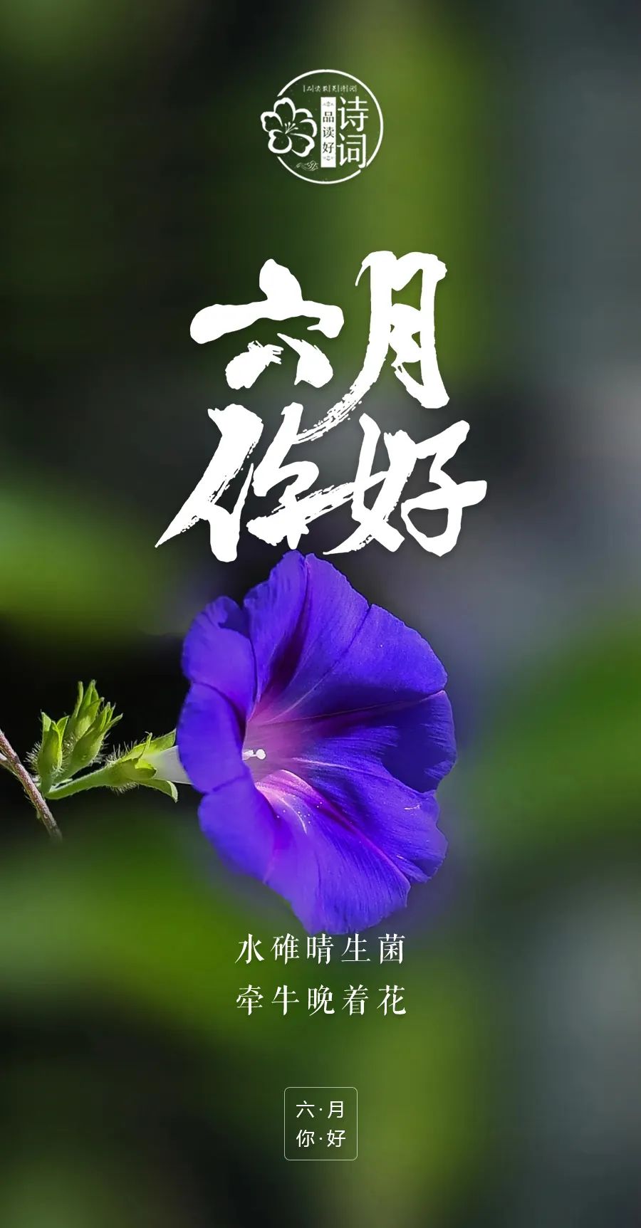 2023年日历6月_2023年日历带农历表阳历_2023年日历表带农历