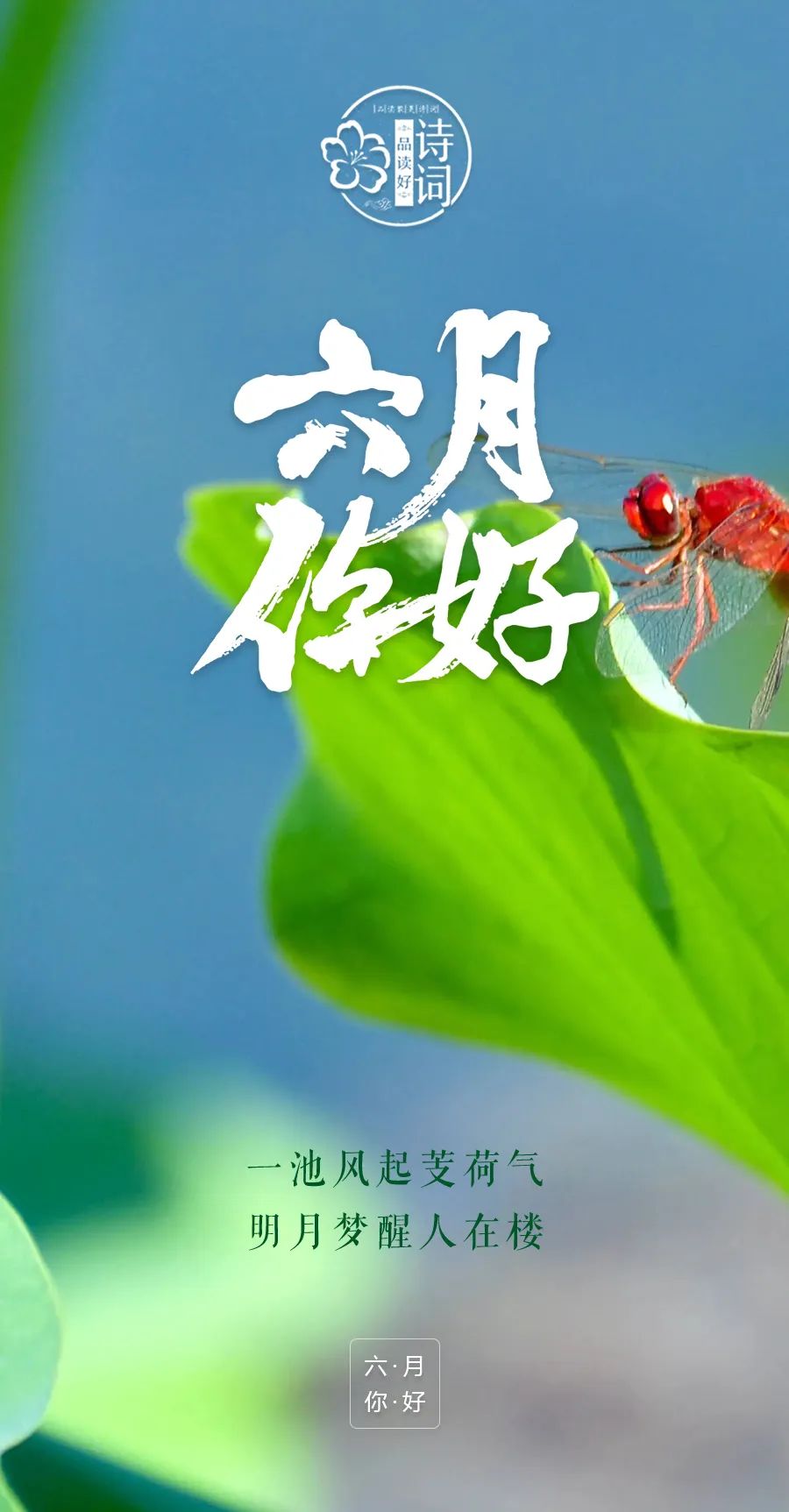 2023年日历带农历表阳历_2023年日历表带农历_2023年日历6月