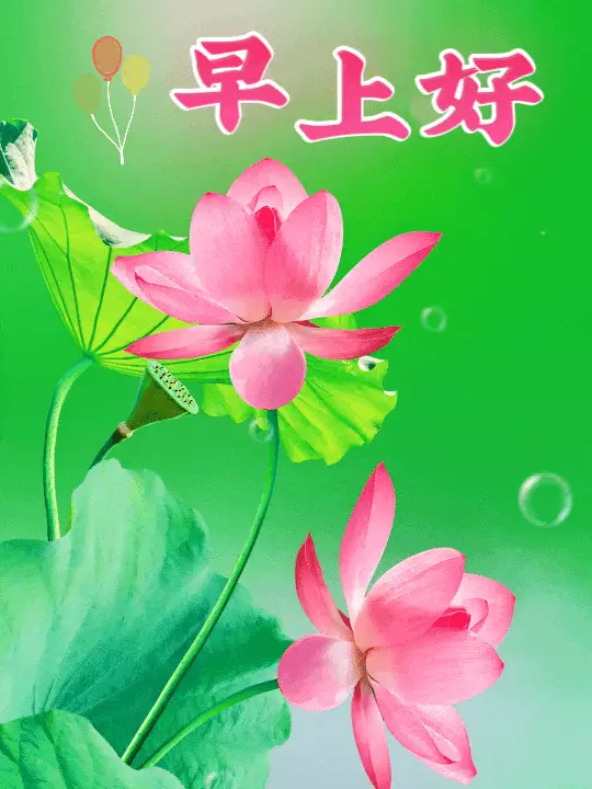 三味线_三味线_三味线