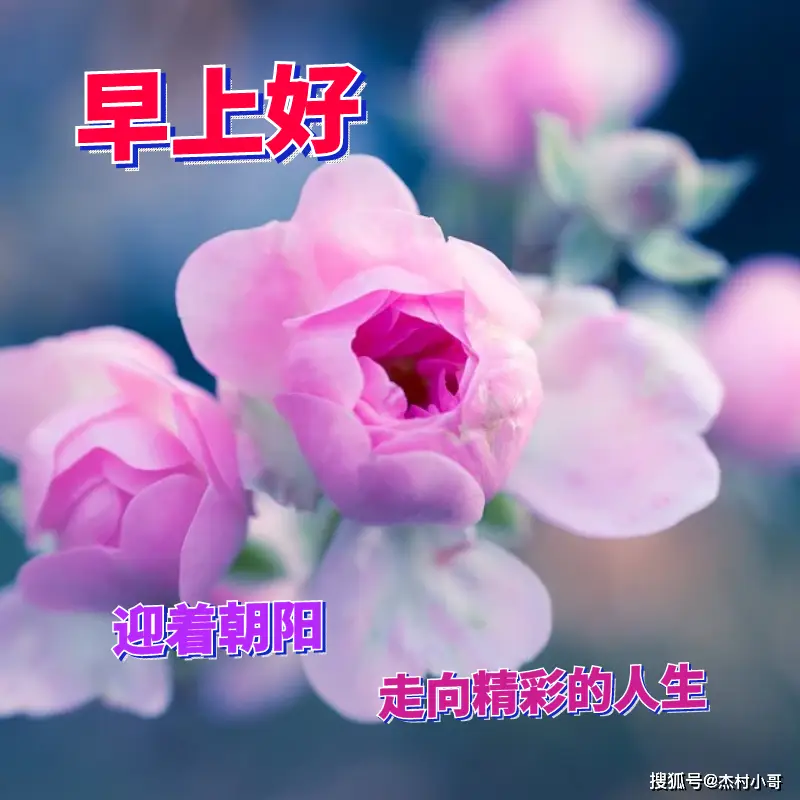 炎客精二立绘_炎客_炎客值得练吗