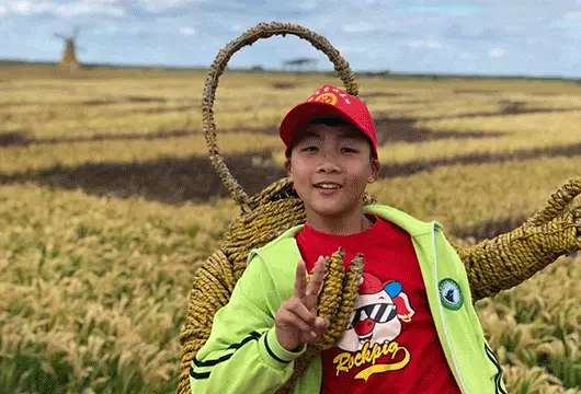 锻炼观察力的手机游戏_锻炼观察力的图片及答案_锻炼观察力的游戏app