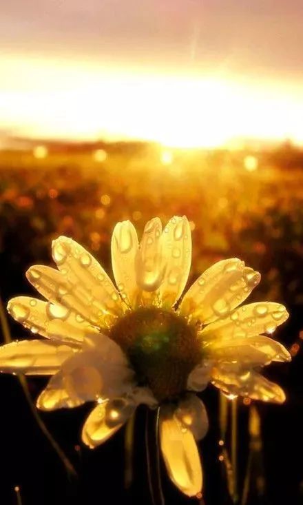 延迟叠光_延迟叠加_叠光延迟