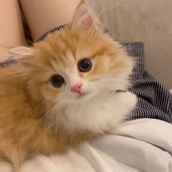 iphonex游戏_苹果xs游戏_iphonexs游戏手机壳