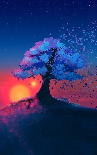 夕阳风景_风景夕阳手机游戏_夕阳风景手机游戏破解版