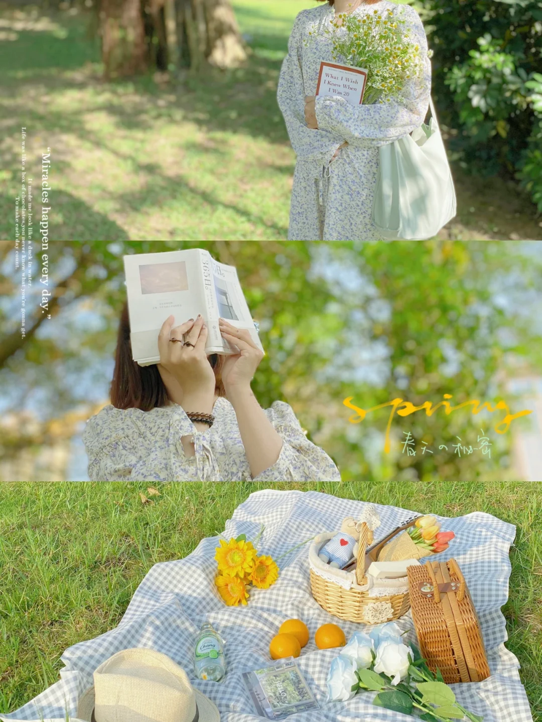 寺田心乃_寺田心乃_寺田心乃
