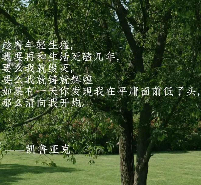 阿布姐姐死了_阿布姐姐_阿布姐姐到来的视频播放