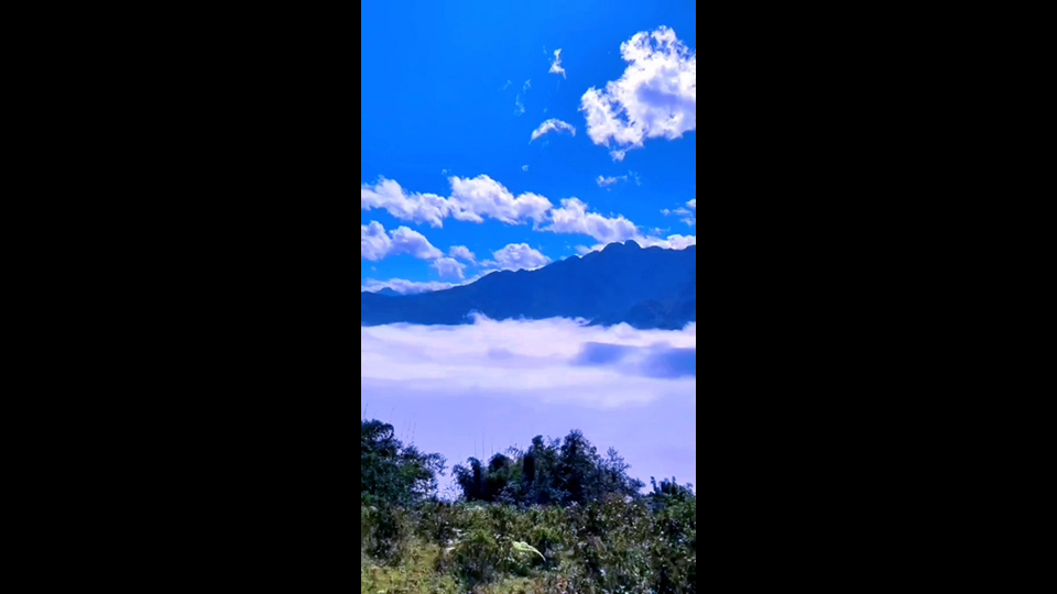 牙狼炎之刻印_牙狼魔戒之花_牙狼
