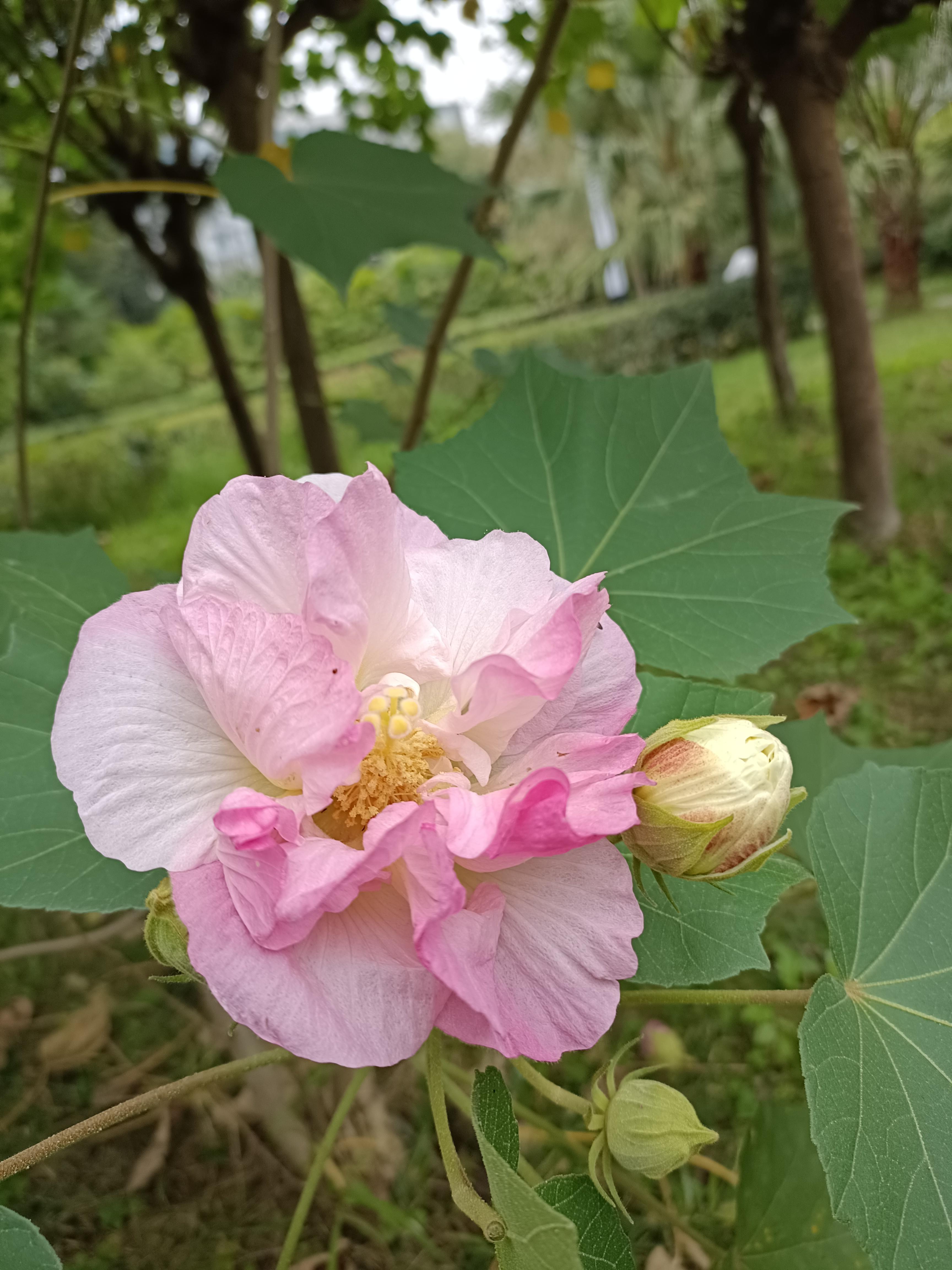美发游戏破解版_好玩的美发游戏_vivo手机美发游戏