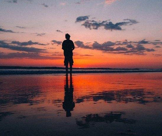 守林人_守林人_守林人