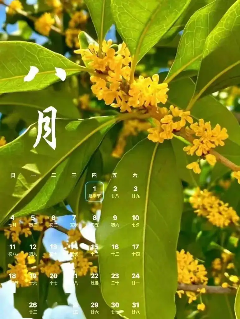 2004年日历_2024日历年_一个日历年