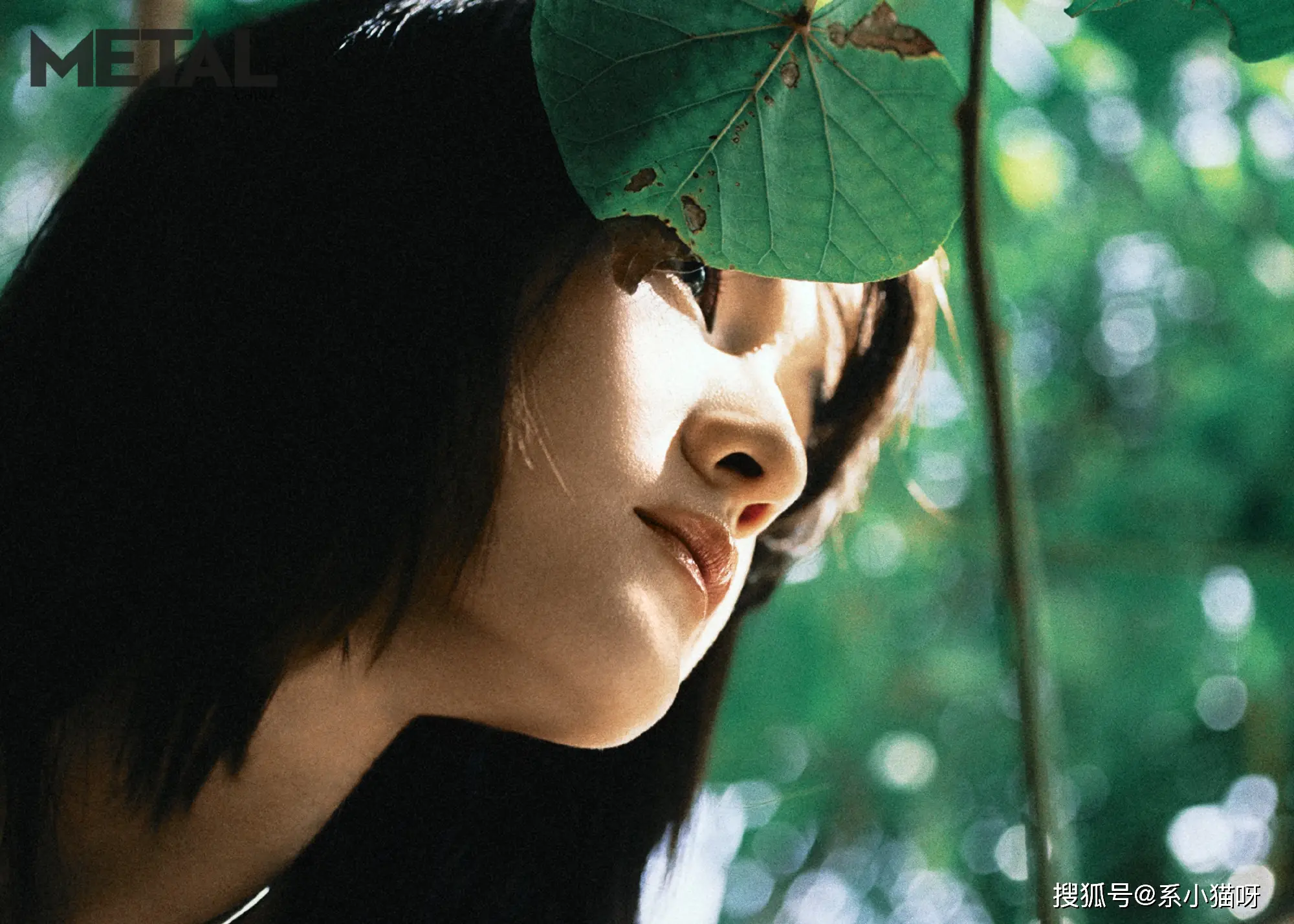 文学少女剧场版_剧场文学少女版百度云_剧场文学少女版在线阅读