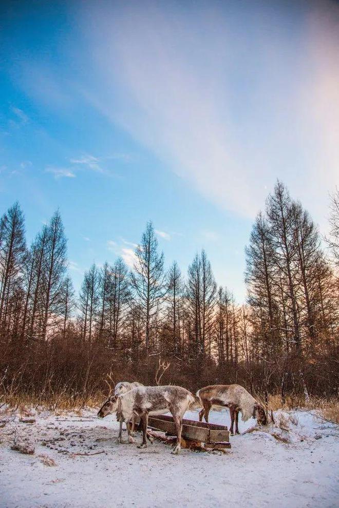 2022有多少天_天有多高_天能电池有精品字样