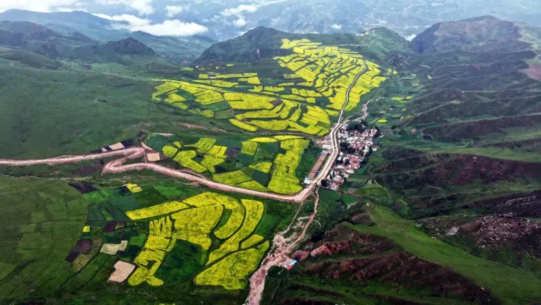 画衣柜怎么画_画衣柜用什么软件_衣柜怎么画