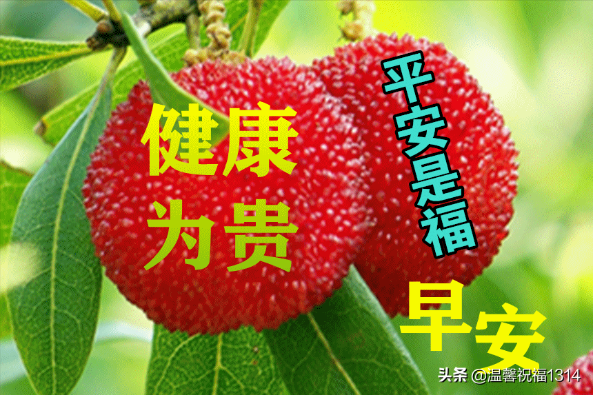 月夜忆舍弟唐杜甫_月亮的拼音_3月21日