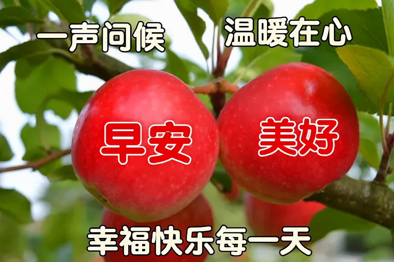 月夜忆舍弟唐杜甫_3月21日_月亮的拼音