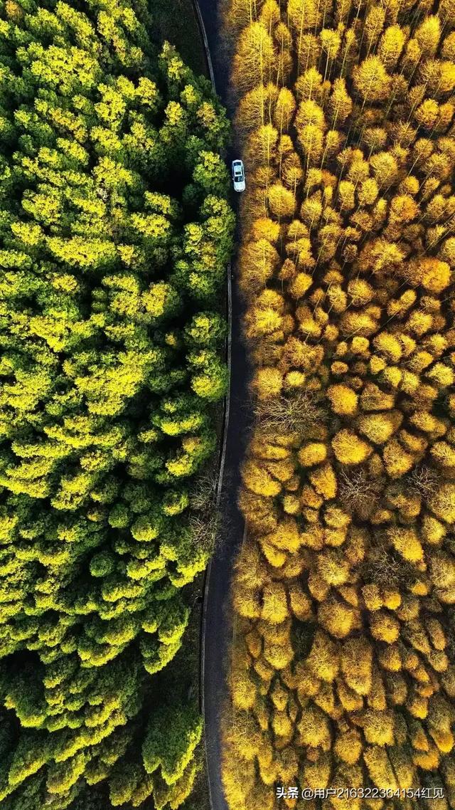 大禾手机游戏平台下载不了_下载手游大全_下载大型手游平台