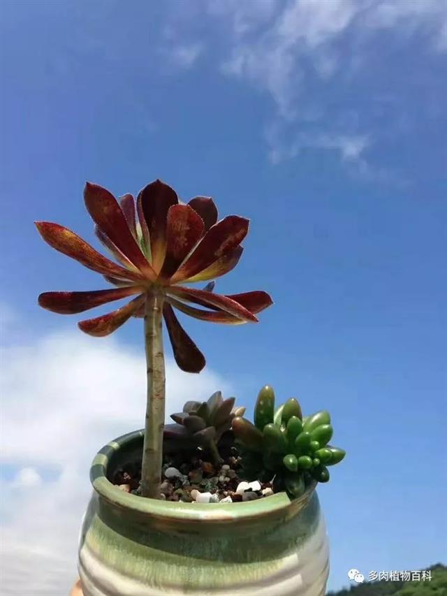 希尔史密斯热水器客服电话_希尔顿欢朋酒店加盟热线_恩希尔