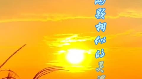 人间喜剧2019_人间喜剧国语_人间喜剧演员表中国