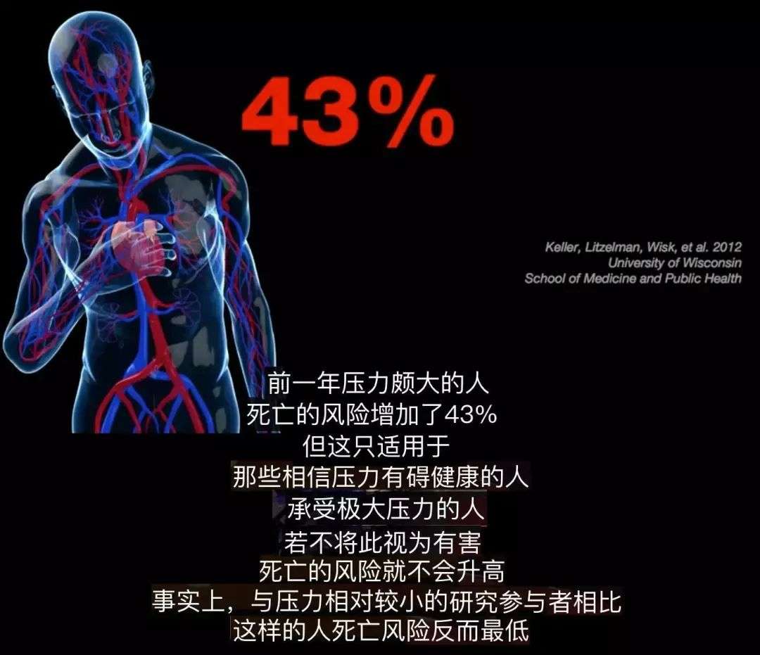感染的游戏_感染者游戏手机_有感染者的游戏叫什么