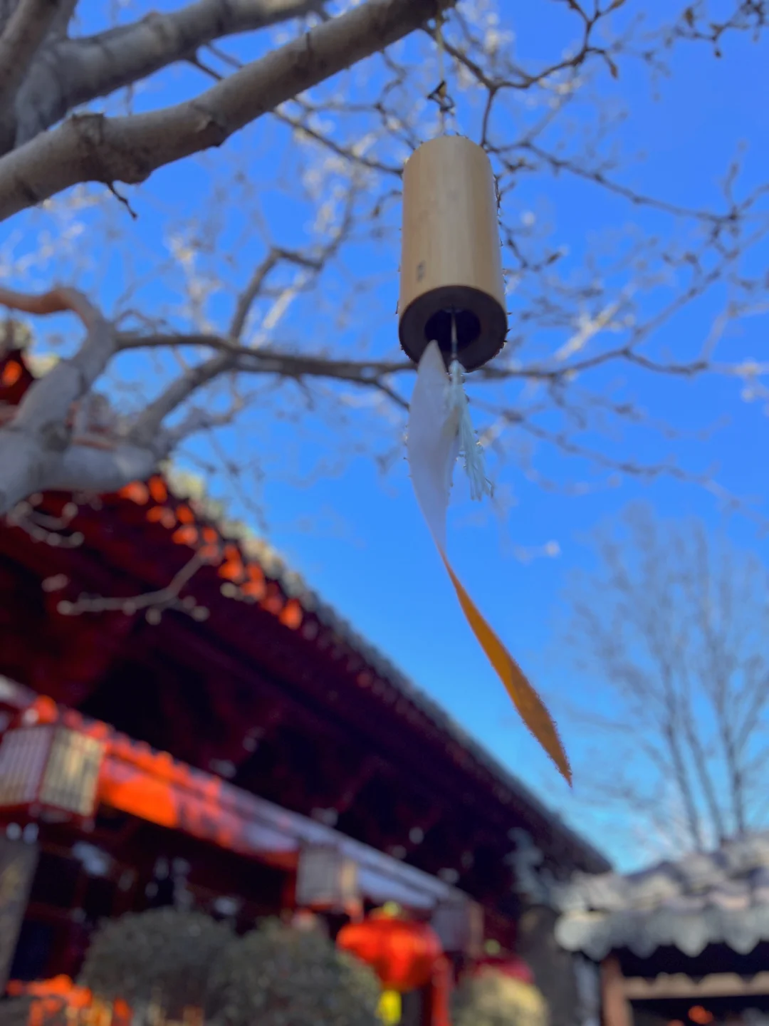 近藤源_近藤源_近藤源