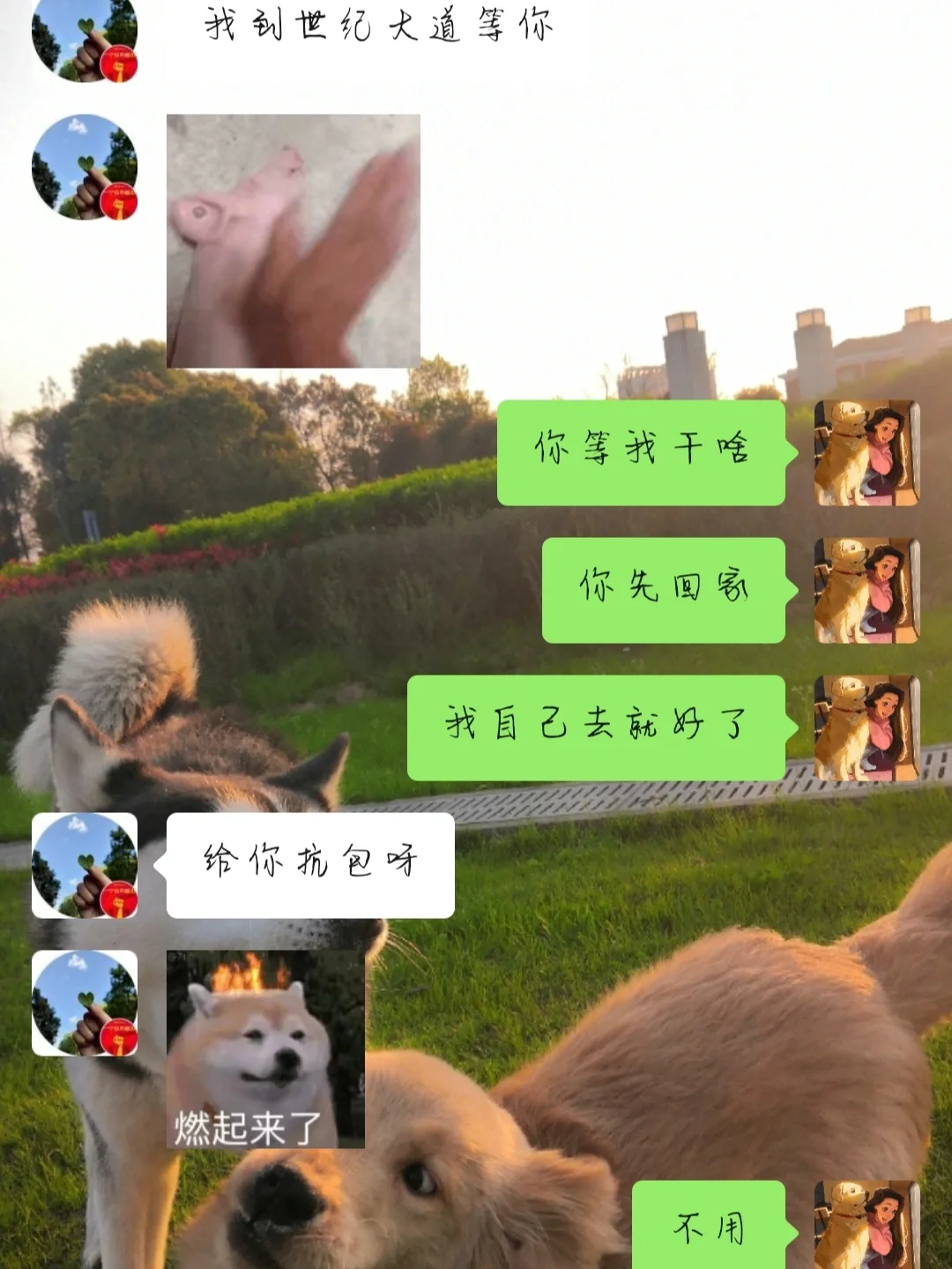 贴心贷_贴心贷是正规平台吗_贴心贷app
