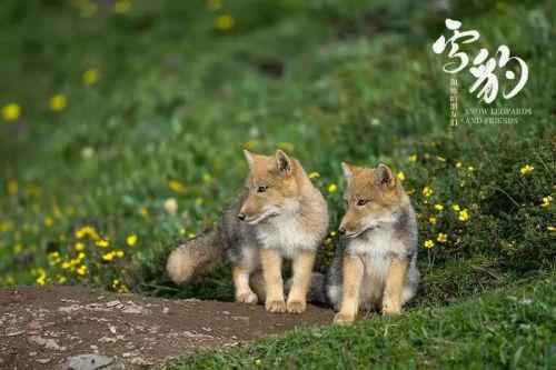 万华少女镜_华少女儿_美少女万華鏡