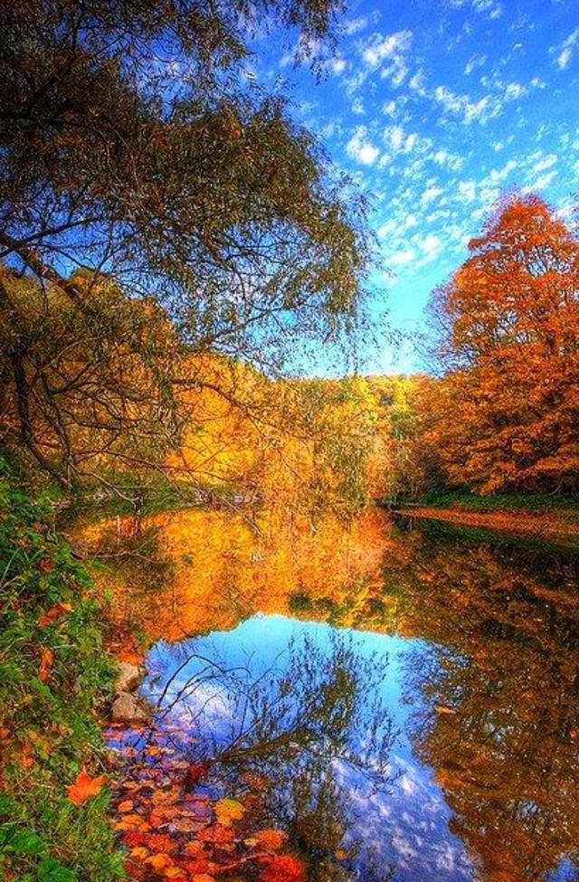 风景意境手机游戏_风景好的手机游戏_意境类游戏