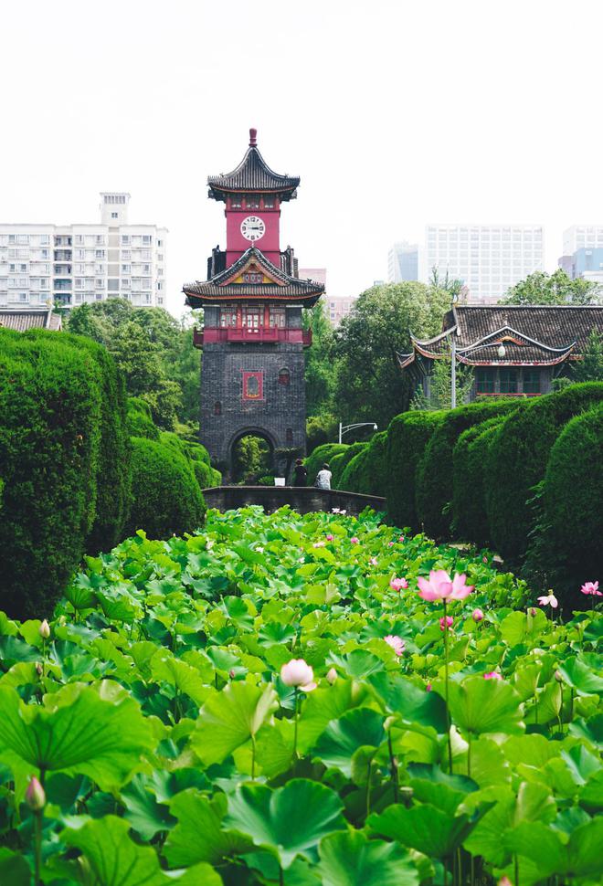 手机游戏要钱吗_玩手游游戏要钱吗_不要达手机游戏