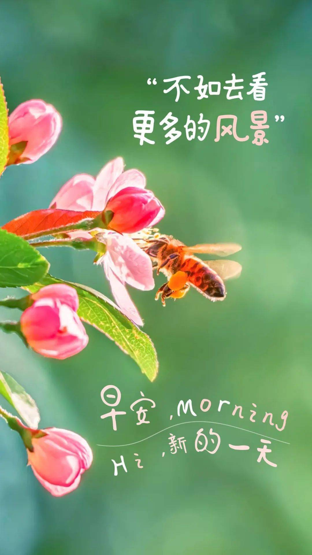 三宅健_三宅健_三宅健