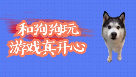 狗狗游戏排行榜_《狗狗》游戏_狗狗手机游戏大全
