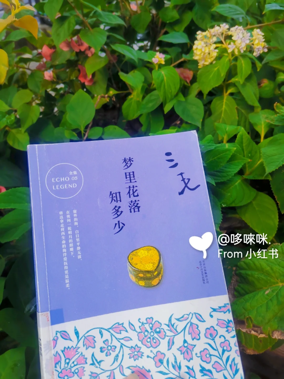德路_德路胶水_德路生