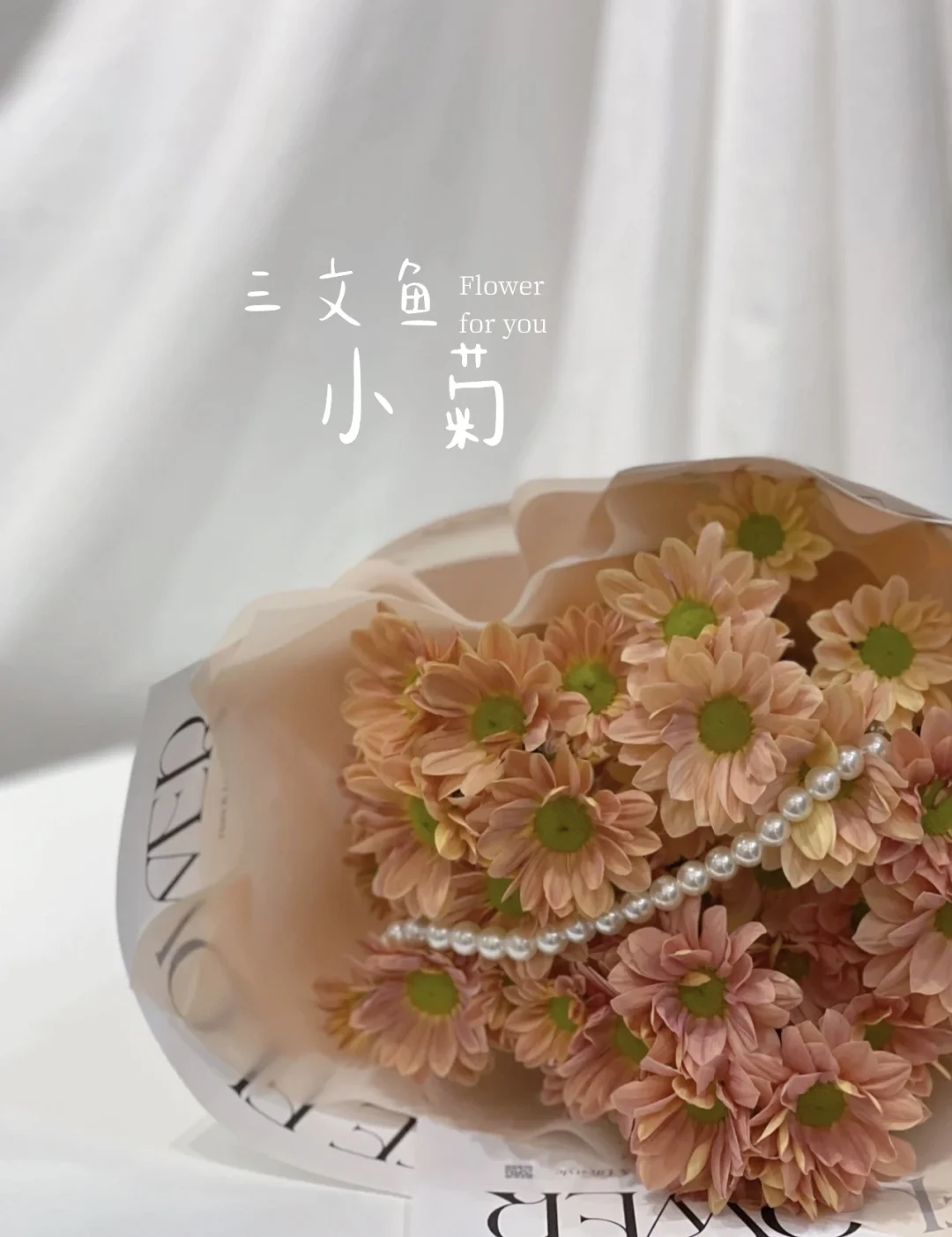 令咒是什么_令咒_令咒生成器