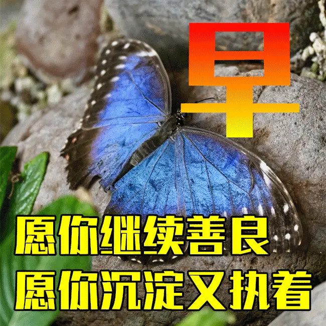 月经推迟不来什么原因_05月22日_月字旁的字有哪些