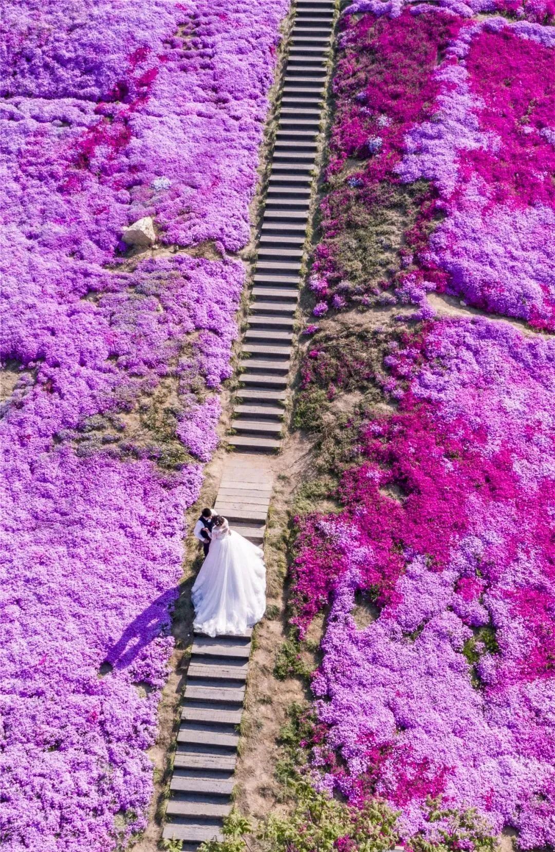 游戏风景推荐手机好还是平板_游戏风景推荐手机好还是电脑_风景好游戏手机游戏推荐