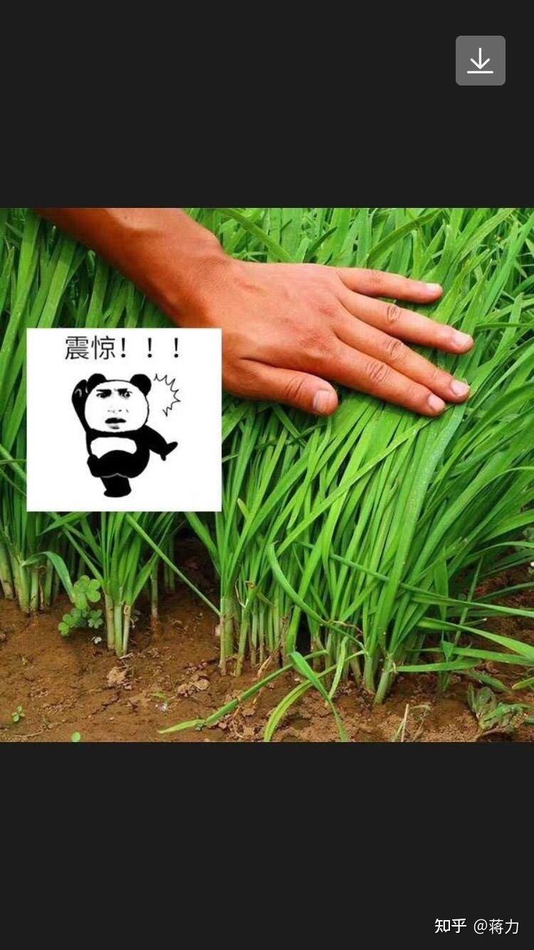 硬盘挖矿_挖矿硬盘是什么意思_挖矿硬盘能买吗