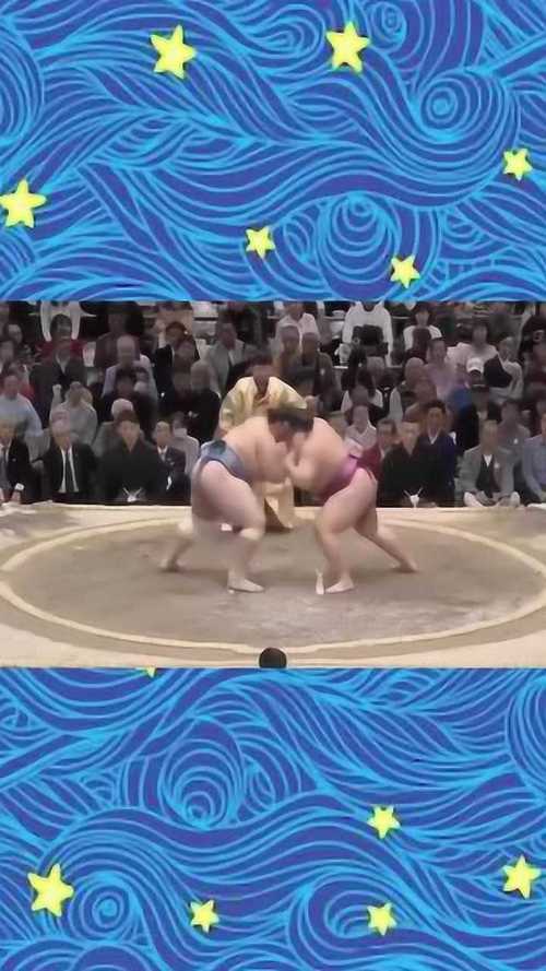 相扑游戏手机版本_大相扑 手机游戏_相扑单机游戏