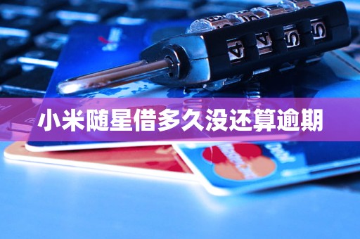 小米随星借app下载_小米随星借受法律保护吗_小米随星借是哪个app